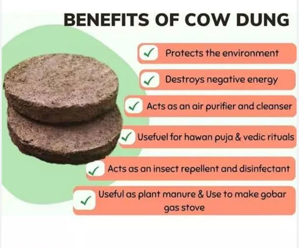 Upale – Sacred Cow Dung Cakes