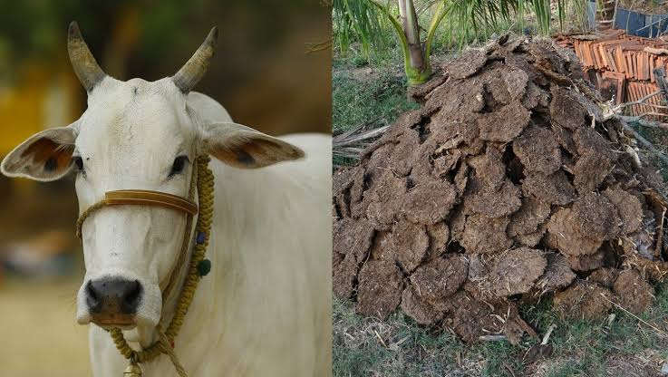 Upale – Sacred Cow Dung Cakes