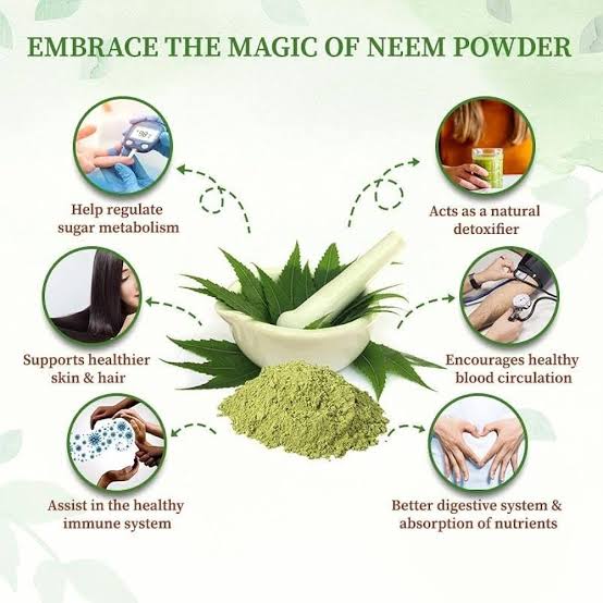 Neem Powder – Pure Ayurvedic Wellness